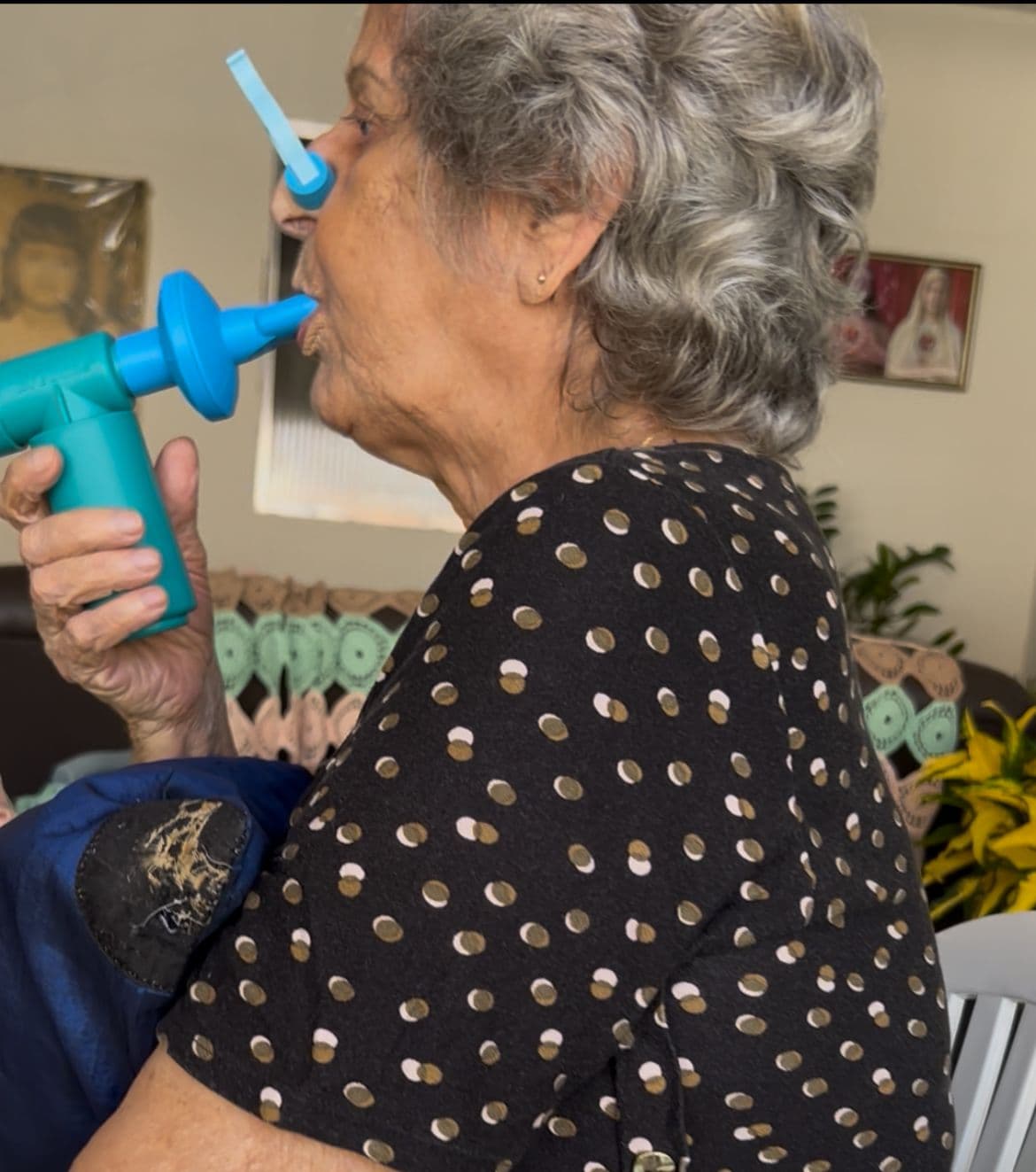 Galeria Camila Soares